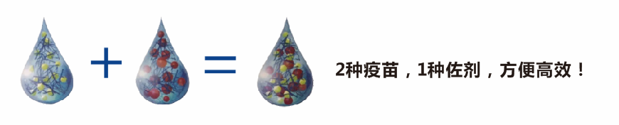 image.png image.png